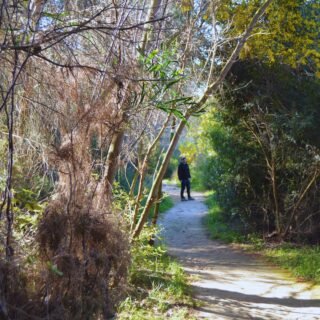 Walking Tour Cala de Pescadores