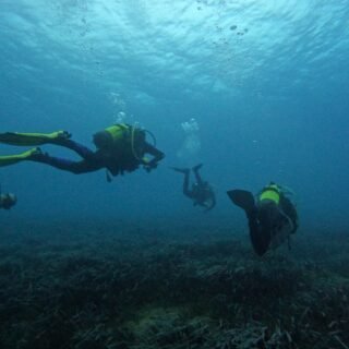 Inmersiones de buceo en Moraira